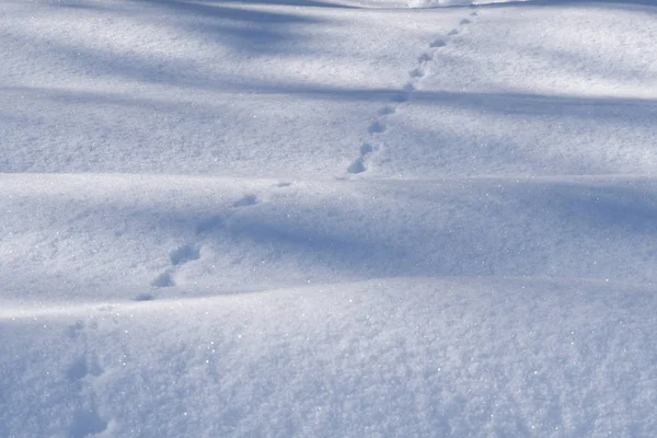 Schneewellen-Bild — Stockfoto