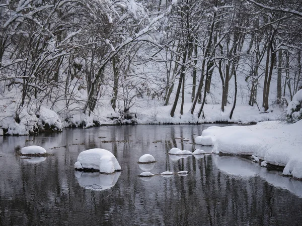 Schneebedeckter Fluss im Winter — Stockfoto