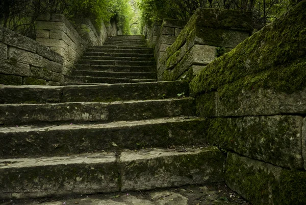 Magic steps image