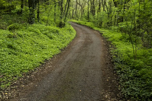 Magical road image — Stock Photo, Image