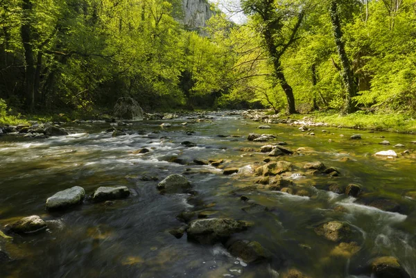 Imagen fresca del río —  Fotos de Stock