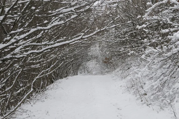 Snowy tunnel image — Stock Photo, Image
