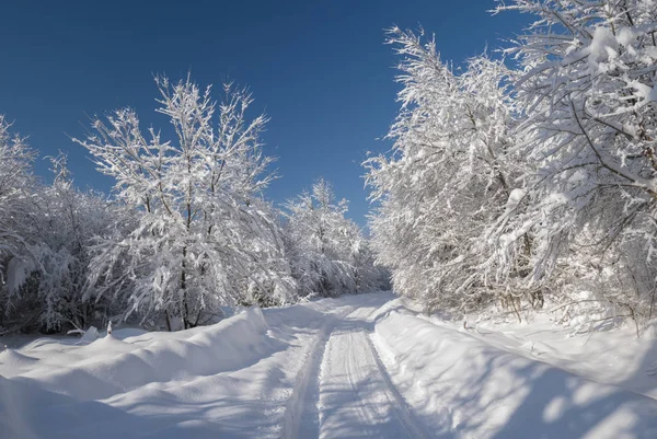 Kış tünel görüntüsü — Stok fotoğraf