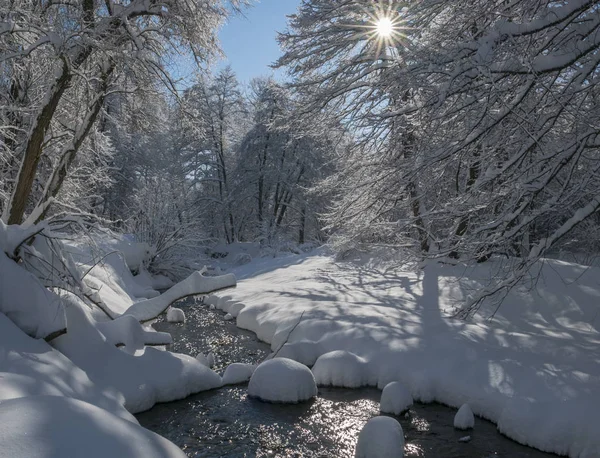 Winter wonderland bild — Stockfoto