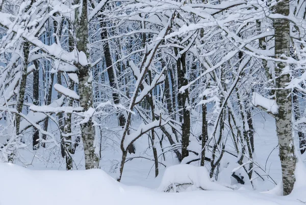 Immagine di modelli nevosi — Foto Stock