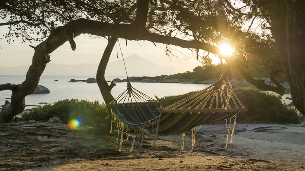 Avslappet livsbilde – stockfoto