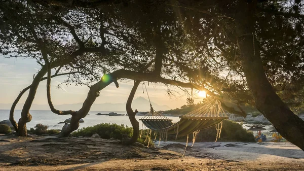 Avslappnad liv bild — Stockfoto