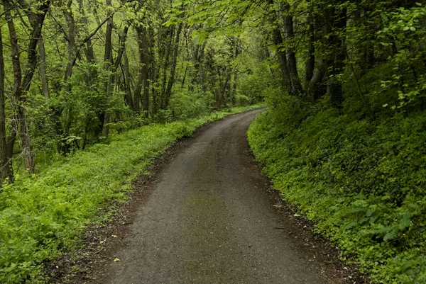 Imagem mágica da estrada Imagem De Stock