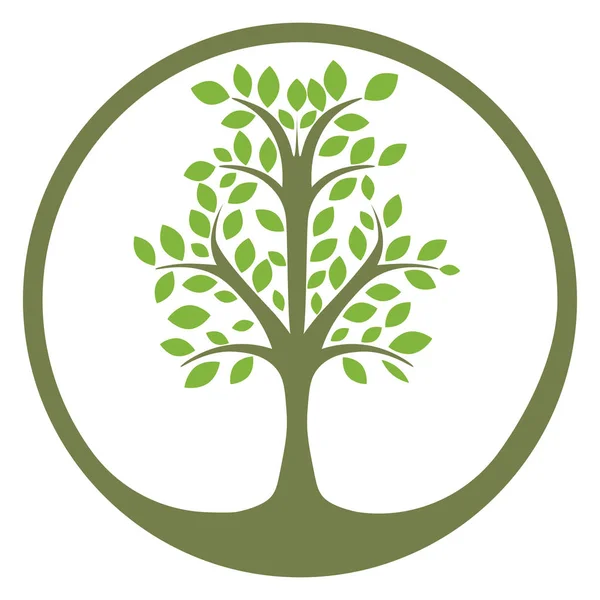 Logo Arborelui Vectorial Elementul Design Organic Abstract Eco Insigna Cercului — Vector de stoc