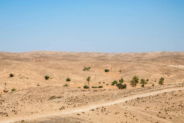 Prachtig uitzicht op de droge woestijn met heuvels, palmbomen en armen — Stockfoto