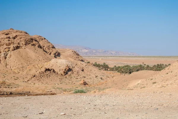 Prachtig uitzicht op de oase, de droge woestijn en de bergen op de ho — Stockfoto