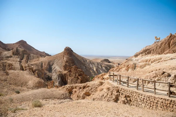 Berg woestijn met een omheind met een eenvoudig houten hek van pad — Stockfoto