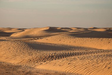 Çölde kum tepeleri. Sahara, Tunus