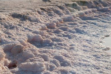 Çölde sahil tuz gölü