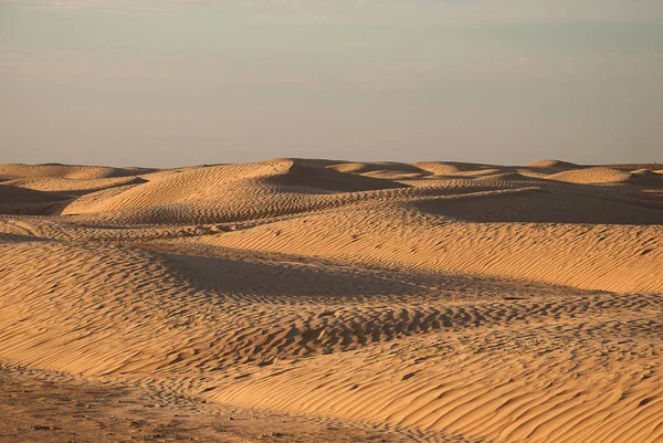 Çölde kum tepeleri. Sahara, Tunus — Stok fotoğraf