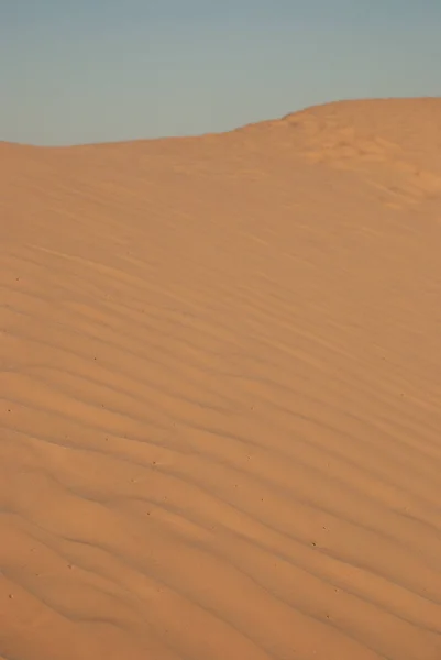 Дюнами піску в пустелі. Сахара, Туніс — стокове фото