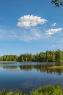 Göl gün orman yansıması su ile temizleyin