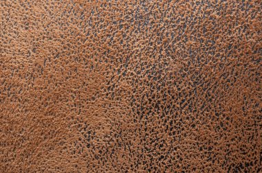 Hafif kahverengi yumuşak süet doku cilt portre siyah noktalar ile