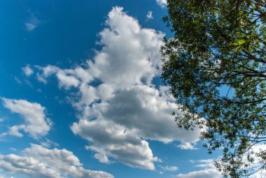 Mavi bir gökyüzü gün güneşli yaz kıvırcık bulutlar ile