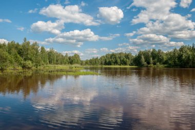 Ağaçlar ve gökyüzü bulutlu su yansıması ile orman göl