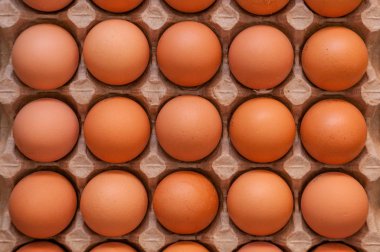 On beş bütün kırılmamış kahverengi yumurta yukarıdan fotoğrafı bir karton kutu içinde