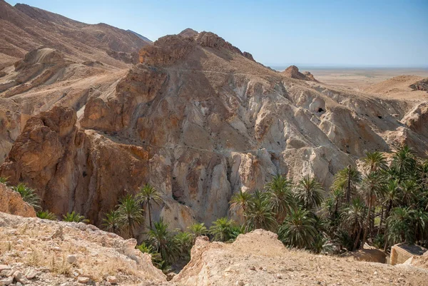 Berg van de diepe kloof met palmbomen in de woestijn — Stockfoto