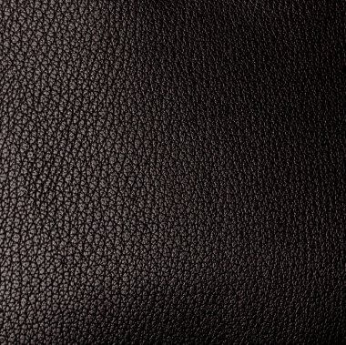Siyah suni deri doku vurgulayın ve g ile bir parça