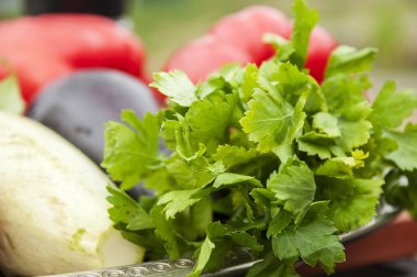 Sebze natürmort - maydanoz, patlıcan, kabak ve domates büyük bir demir çanak yalan