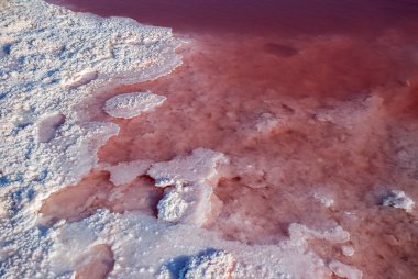 Kırmızı su closeup ile Tuz Gölü kıyısında