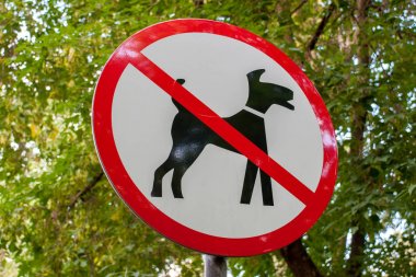 Şehir siyah-kırmızı-beyaz yuvarlak yürümek köpek yasak işareti