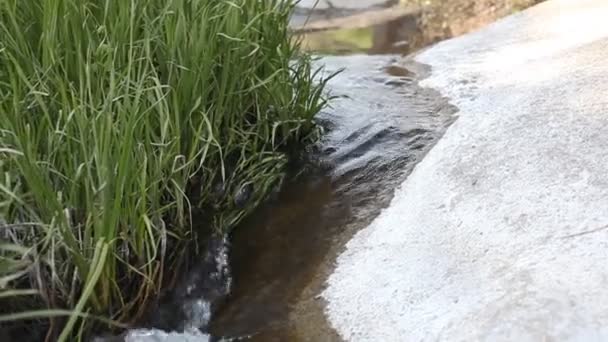 Río con agua pura — Vídeo de stock