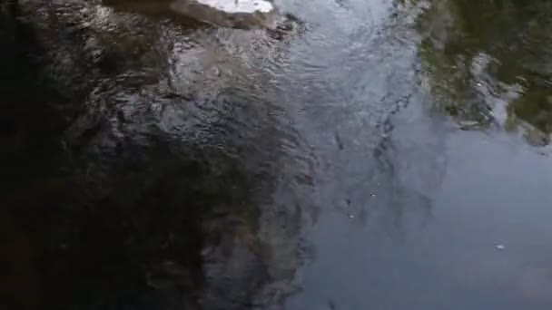 Río con agua pura — Vídeo de stock