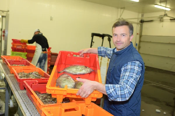 Zeigt einen frischen Fisch — Stockfoto