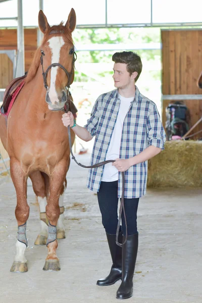 Stable boy and young — Stock Photo, Image