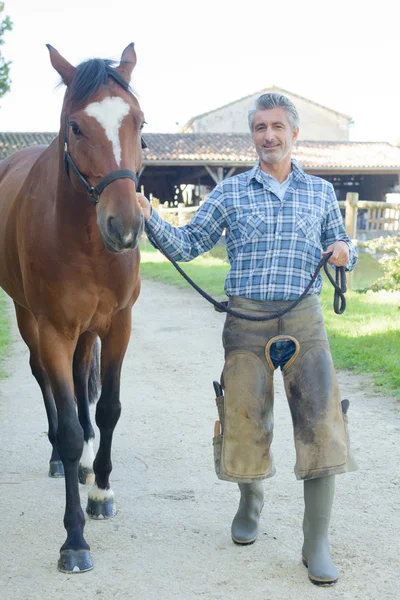 Фермер провідний кінь і кінь — стокове фото