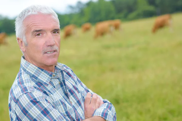 Agricultor com bovinos e bovinos — Fotografia de Stock