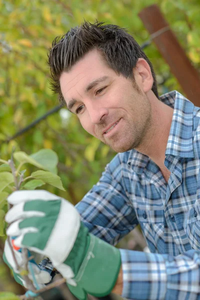 Jardineiro desfrutando de seu trabalho — Fotografia de Stock