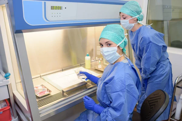 Microbiólogos en el trabajo y microbiólogos — Foto de Stock