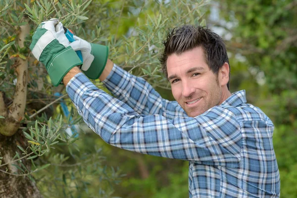 Arbeiten im Garten — Stockfoto