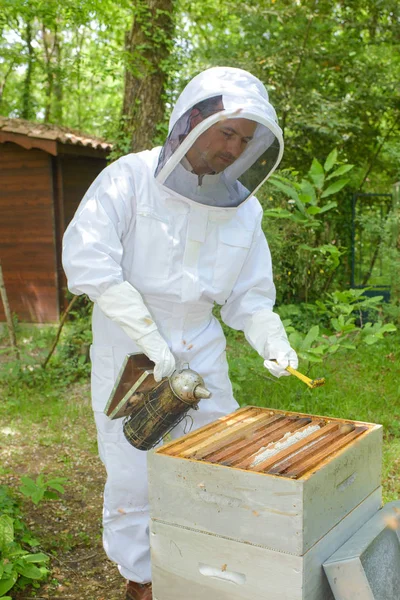 Palenie na pszczoły i człowieka — Zdjęcie stockowe