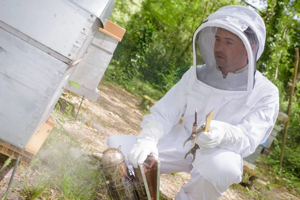 Bee roker en man — Stockfoto