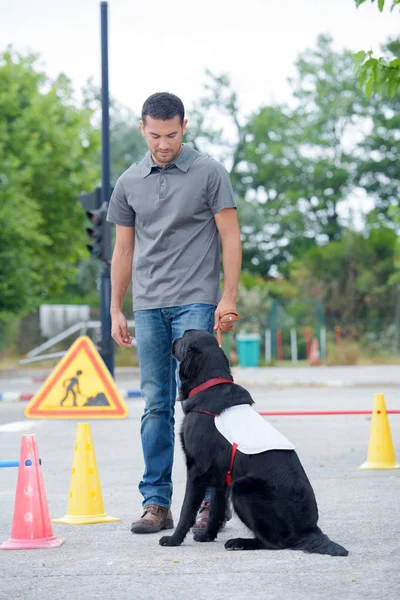 Cvičiteli a jeho pes — Stock fotografie