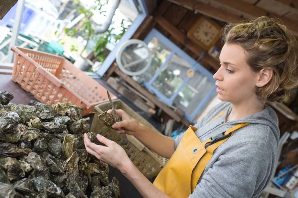 Pretty oyster farmer sorting shellfish for sale — Stock Photo, Image