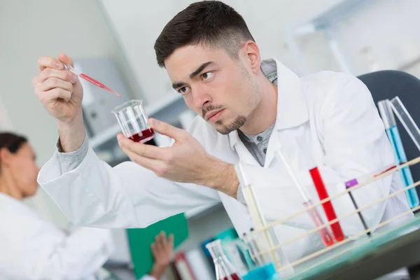 Cientista trabalhando e bonito — Fotografia de Stock