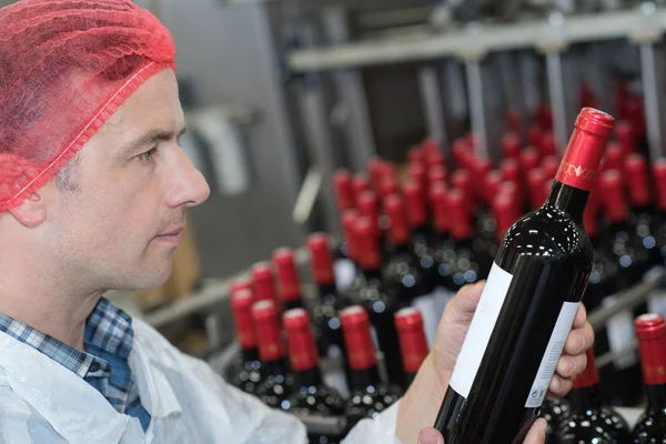 Especialista escolhendo vinho e vinho — Fotografia de Stock