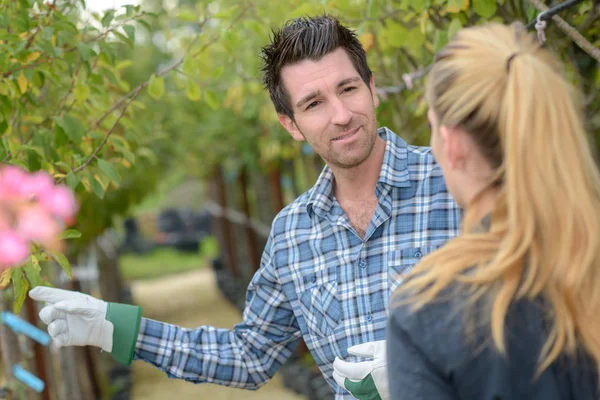 Jardinero mostrando flores a una mujer — Foto de Stock