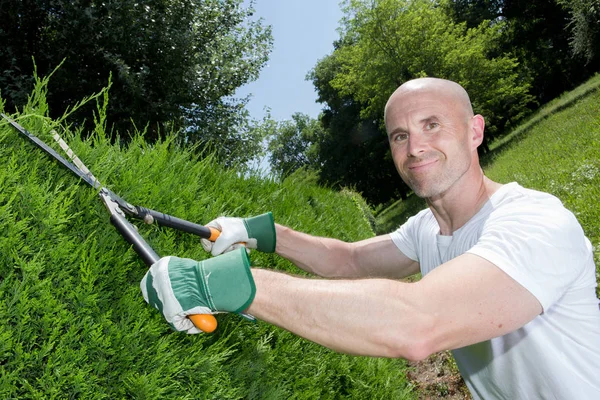 Medelålders man gräsklippning i trädgården — Stockfoto