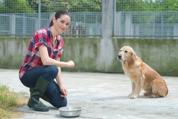 Dedicado chica entrenamiento perro en kennel — Foto de Stock