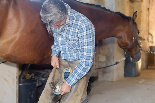 Cavalo de sapato Farrier e farrier — Fotografia de Stock