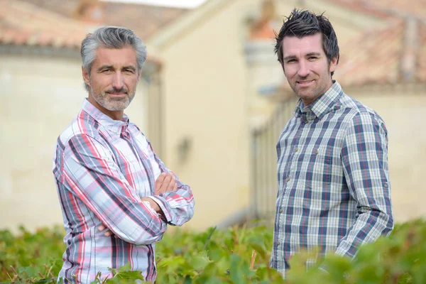 Deux hommes bavardant sur la haie du jardin — Photo